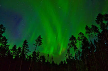 Nordlichter können im Camp in Rossön Schweden im Winter natürlich auch beobachtet werden - so sie sich blicken lassen
Lappland, Northern Lights
