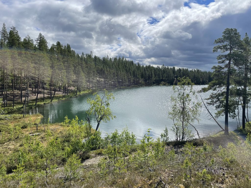 Mehrer Seen gehören zum Angelgebiet rum um das Angel und Outdoor Camp in Rossön, Schweden,
Wald, Lappland, See, Angeln