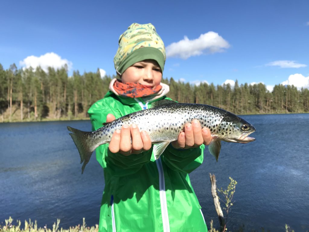 Erfolgreicher Nachwuchsangler im Rossön Camp - Fishing und Outdoor, Angelcamp, Schweden, Arktischer Saibling