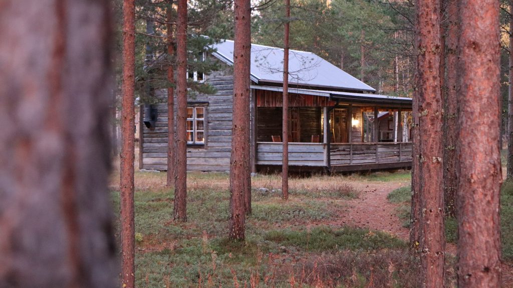 Ferienhaus, FeWo, "Graues Haus" umgeben von Bäumen auf dem großzügigen Areal des Rossön Fishing und Outdoor Camps 
Mit Terrasse und nur wenige Meter vom Steg und See entfernt